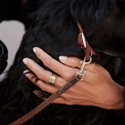 AGATHA FR Bague Large DUA - Argenté / Doré 7 AGATHA FR Bague Large DUA - Argenté / Doré -Anneau Soldes 02220505 879 52 M2