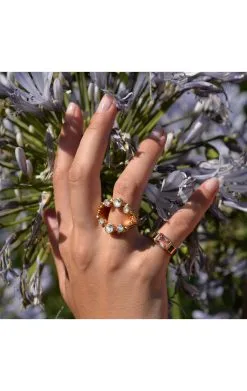 HIPANEMA Bague Casta -Anneau Soldes casta 2